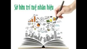 Chú ý đến quyền sở hữu trí tuệ